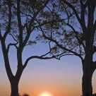 Subliminal Sunset